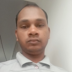 Mukesh Vind-Freelancer in ,India
