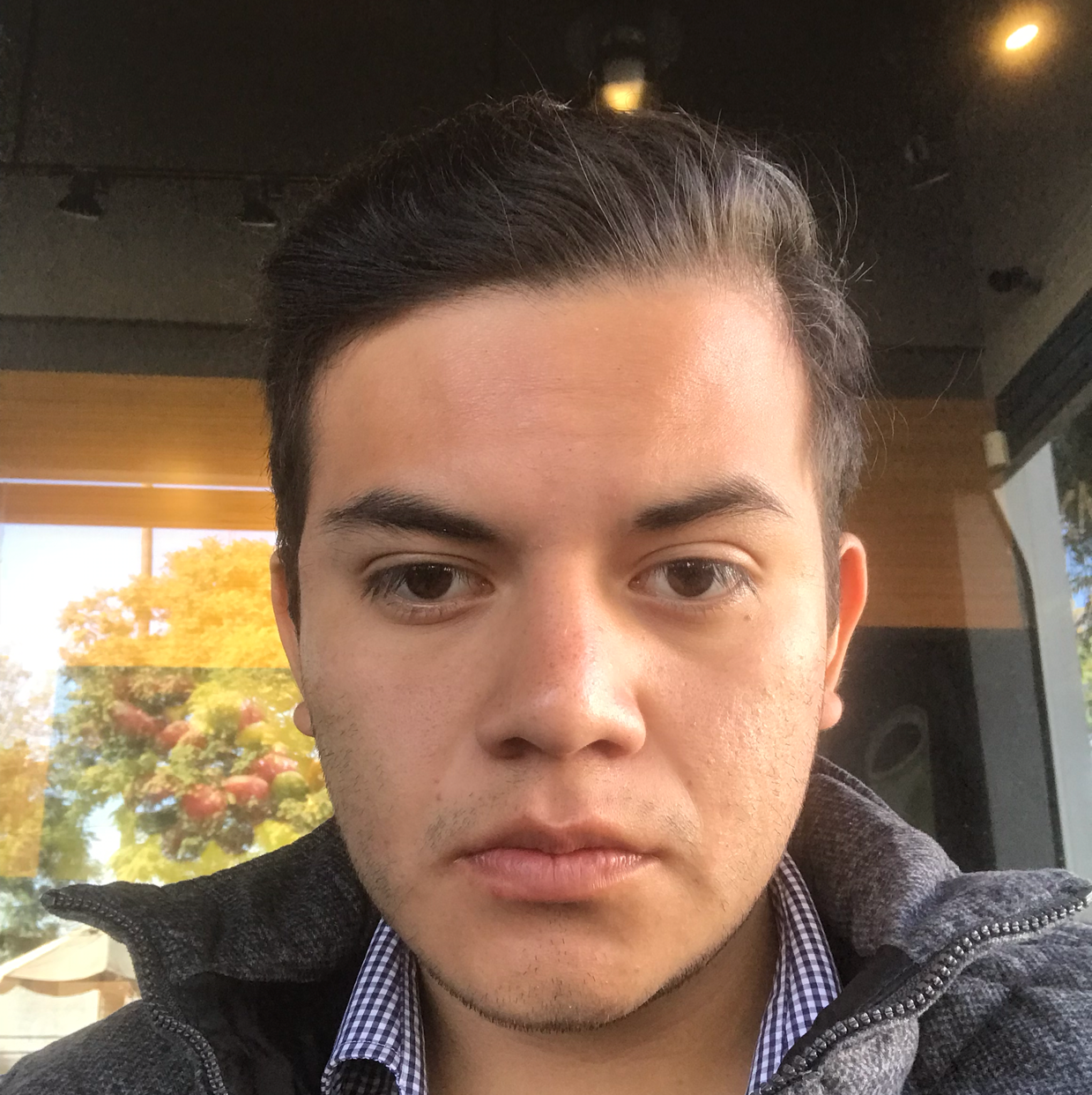 Marco Antonio Flores Cano-Freelancer in Santiago de Querétaro,Mexico