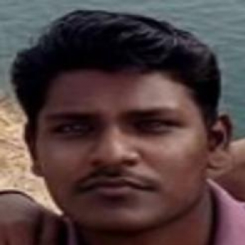 Sudharson Sankareswaran-Freelancer in ,India
