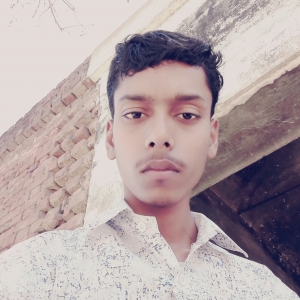 Shashank Kumar-Freelancer in ,India
