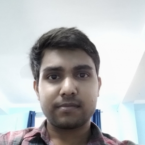 Sunil Kumar-Freelancer in Bhagalpur,India