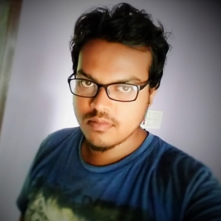 Sanjay Biswas-Freelancer in Rudrapur,India