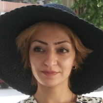 Pari Salami-Freelancer in Istanbul,Turkey