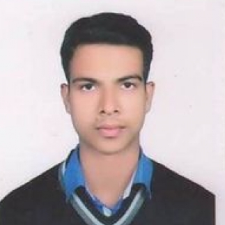 Rishav Raj-Freelancer in Simariya,India