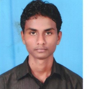 Syed Zakeer Hussain-Freelancer in Nizamabad,India
