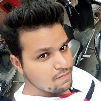 Nitish Payal-Freelancer in ghaziabad,India