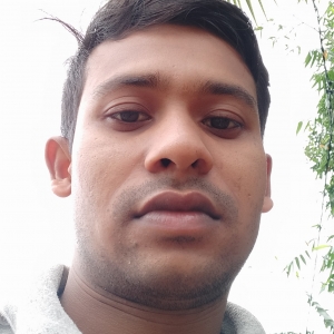 Tanmoy Malik-Freelancer in Bankura,India
