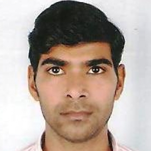 Raj Kumar-Freelancer in Pilibangan,India