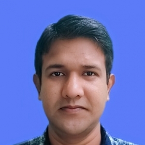 Saroj Kumar Rout-Freelancer in ,India