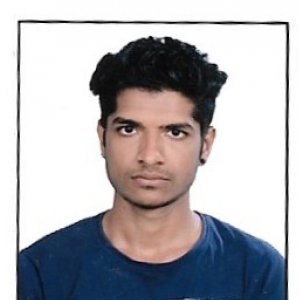 Ramesh-Freelancer in ,India