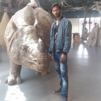 Ranjan Nicholas-Freelancer in ,India