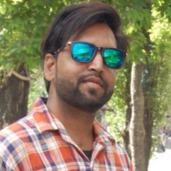 Harish Kumar-Freelancer in Noida,India