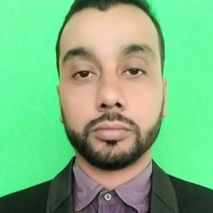 Ziaur Rahman Barbhuiya-Freelancer in Hailakandi,India