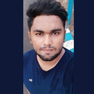 Mushtaque Hussain-Freelancer in ,India