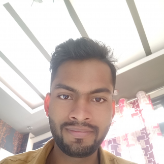Rohit Mishra-Freelancer in noida,India