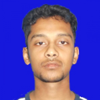 Bijay Saikia-Freelancer in BOKAKHAT,India
