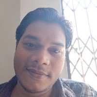 Nitish Shashmal-Freelancer in Raipur,India