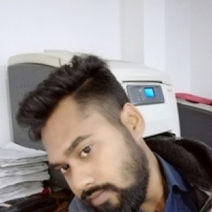 Biplab Mallick-Freelancer in ,India