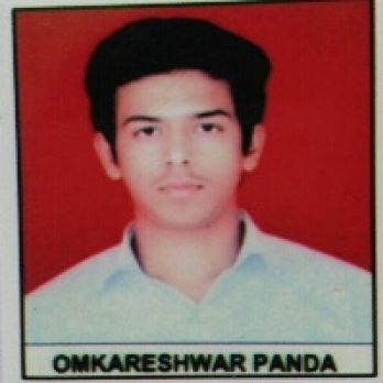 Omkareshwar Panda-Freelancer in ,India
