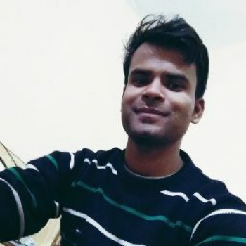 Rahul Baghel-Freelancer in ,India