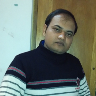 Vishwnath Prasad-Freelancer in PATNA,India