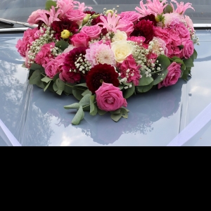 Maneesha S Acharya-Freelancer in Bangalore,India