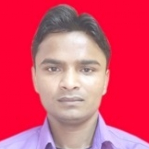 Mangla Prasad Patel-Freelancer in Allahabad,India
