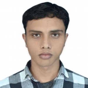 Prashant Raj-Freelancer in Bengaluru,India