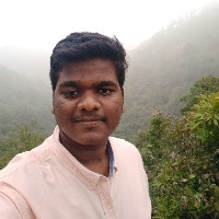Nithin Raj-Freelancer in ,India