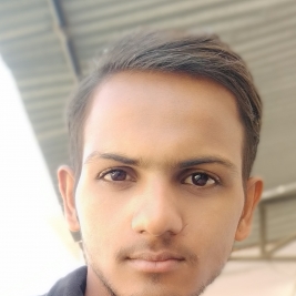 Dinesh Rao-Freelancer in AHMEDABAD,India