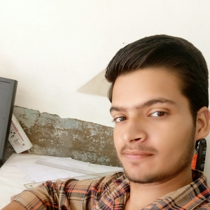 Sanjay Verma-Freelancer in New Delhi,India