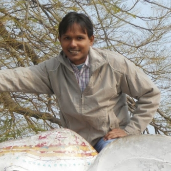 Nitin Raghuvanshi-Freelancer in Noida,India