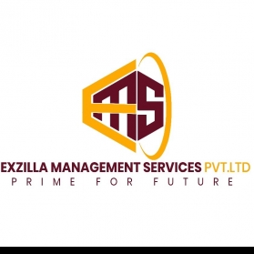 EXZILLA MANAGEMENT SERVICES PVT. LTD-Freelancer in Gurgaon,India
