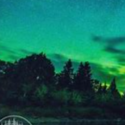 dddd   dddddd-Freelancer in ,Ethiopia