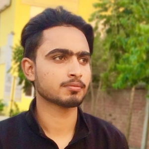 Arshad Ahmed-Freelancer in New Delhi,India