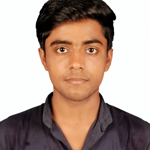Mithilesh Arya-Freelancer in Bahraigh,India