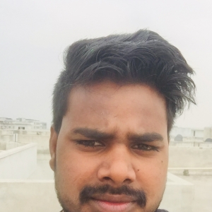 Ramuraj Raj-Freelancer in New Delhi,India