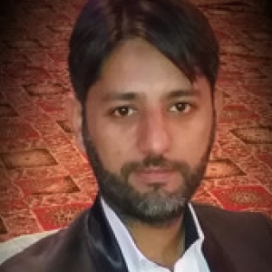 Muhammad Noman - Mba, Acca-Freelancer in Karachi,Pakistan
