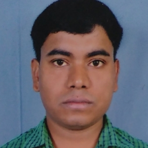 Sunil Sah-Freelancer in ,India