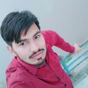 Hafiz Saqib-Freelancer in Lahore,Pakistan
