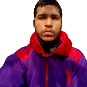Rajan Singh-Freelancer in Moradabad,India