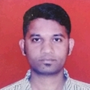 Akash Raut-Freelancer in Amravati,India