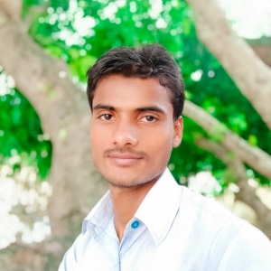 Ansar Alam-Freelancer in ,India