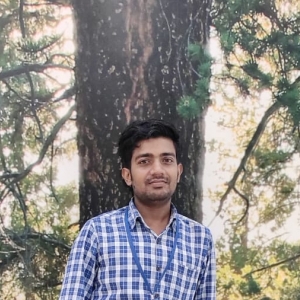 Sanjay Kumar-Freelancer in Noida,India