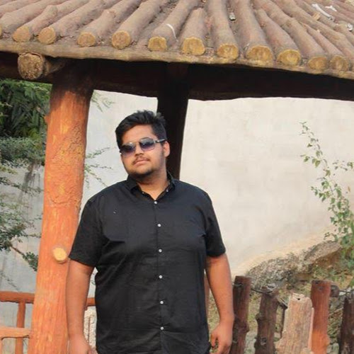 Jayesh Ahuja-Freelancer in Raipur,India