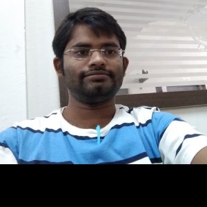 Bipul Vivek-Freelancer in ,India