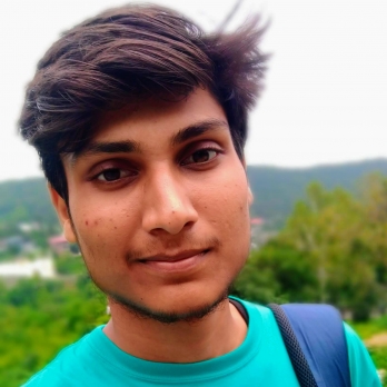 Yash Mittall-Freelancer in Mohali,India