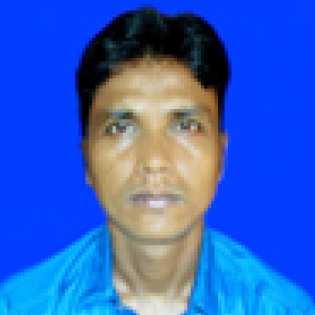 Bipin Bihari Parida-Freelancer in Bhubaneshwar,India