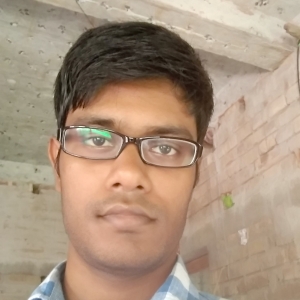 Suman Baitalik-Freelancer in Sultanpur,India