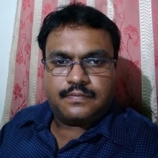 Sanjaya P Nair-Freelancer in Chennai,India